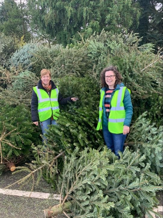 treecycling ward