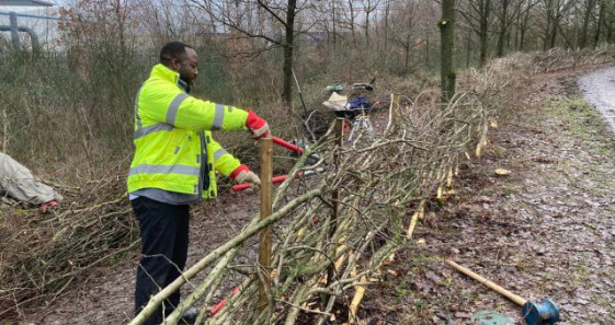 Hedgerow Heroes