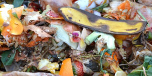 Food waste recycling