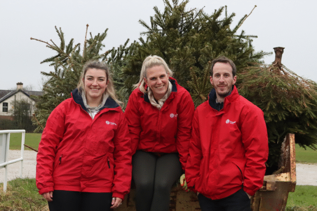 Ward and Treetops Hospice teamed up for another successful Treecycling campaign